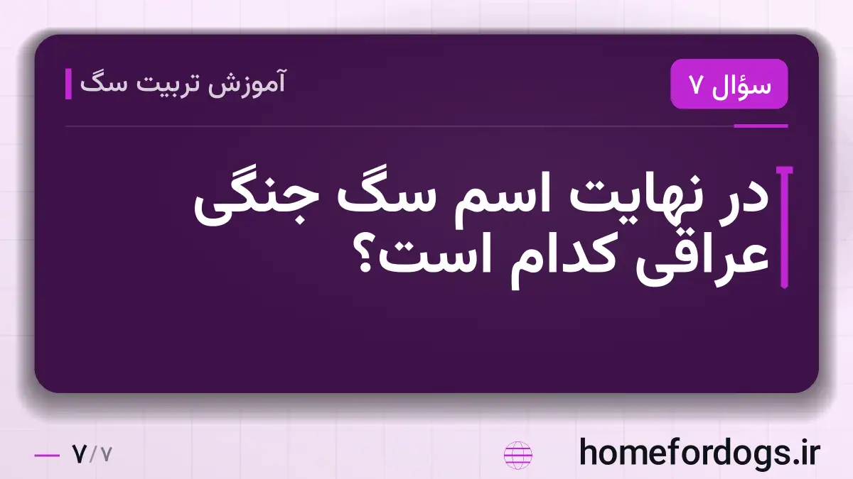 در نهایت اسم سگ جنگی عراقی کدام است؟