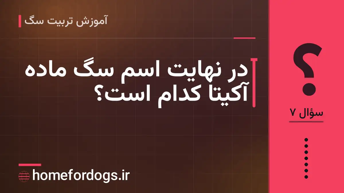 در نهایت اسم سگ ماده آکیتا کدام است؟