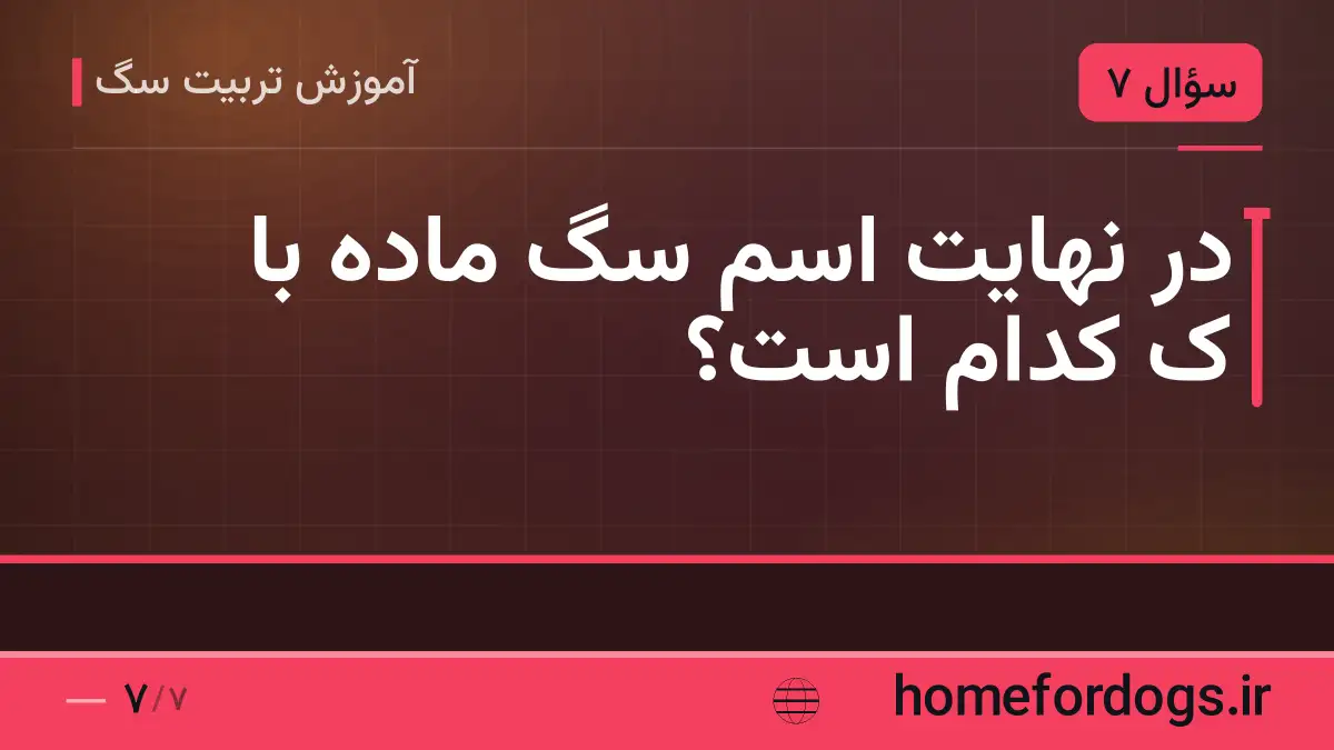 در نهایت اسم سگ ماده با ک کدام است؟