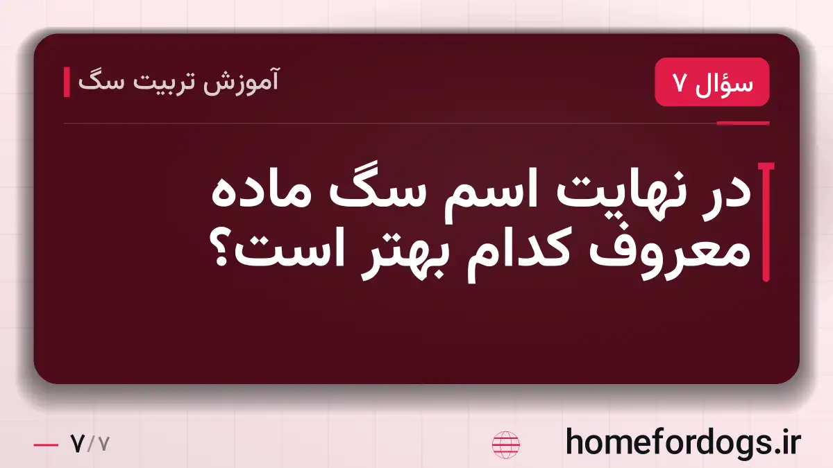 در نهایت اسم سگ ماده معروف کدام بهتر است؟