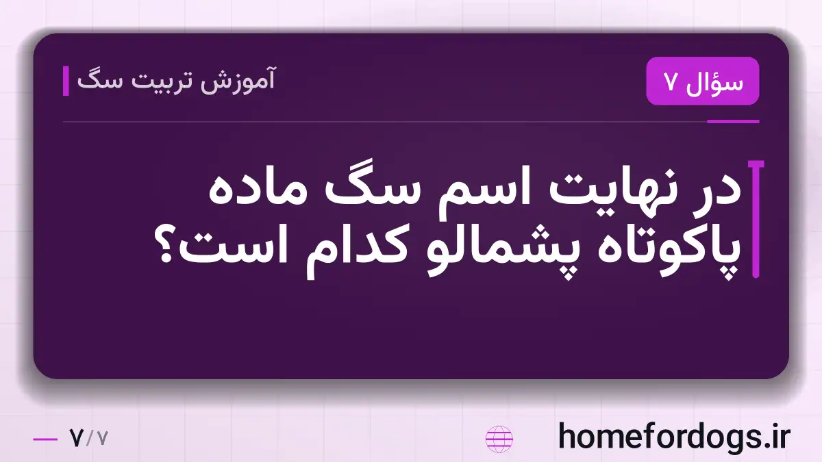 در نهایت اسم سگ ماده پاکوتاه پشمالو کدام است؟