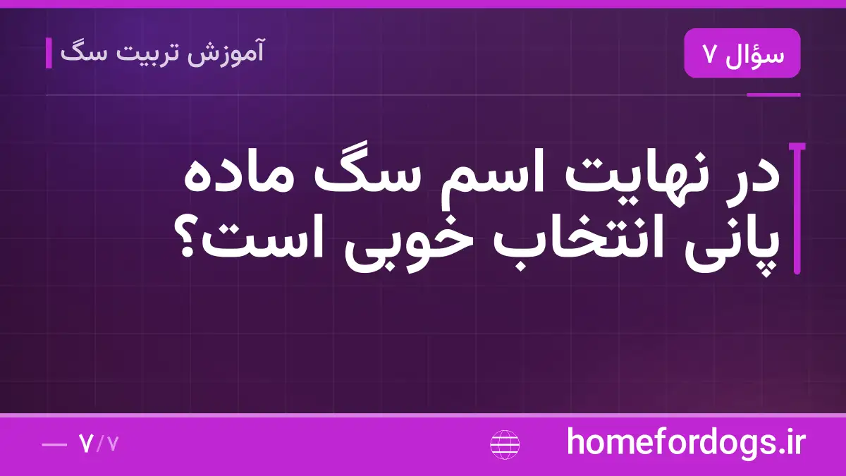 در نهایت اسم سگ ماده پانی انتخاب خوبی است؟