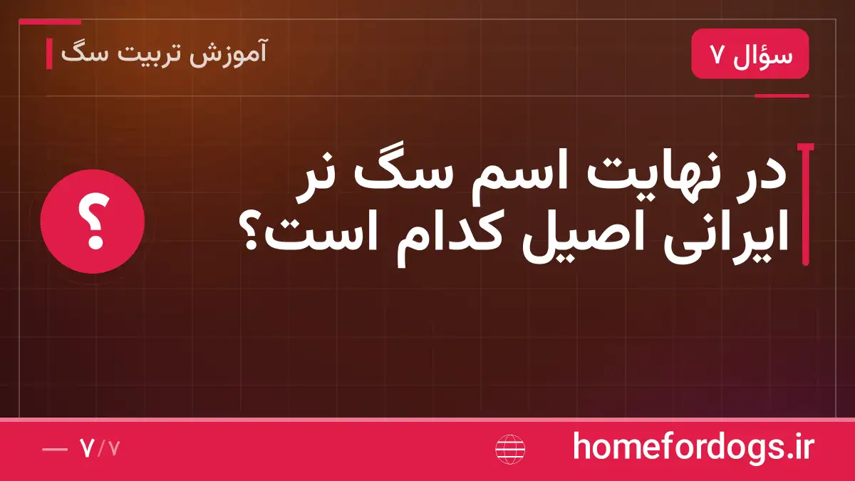 در نهایت اسم سگ نر ایرانی اصیل کدام است؟
