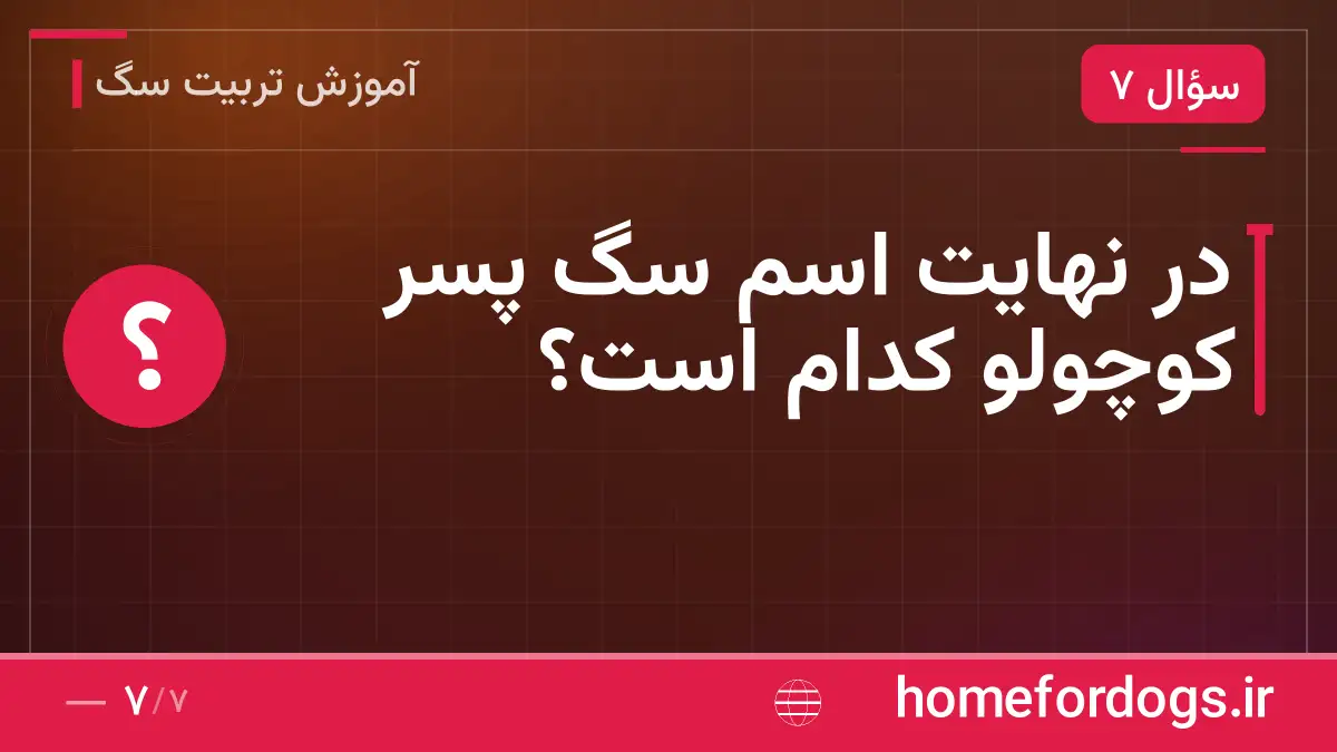 در نهایت اسم سگ پسر کوچولو کدام است؟