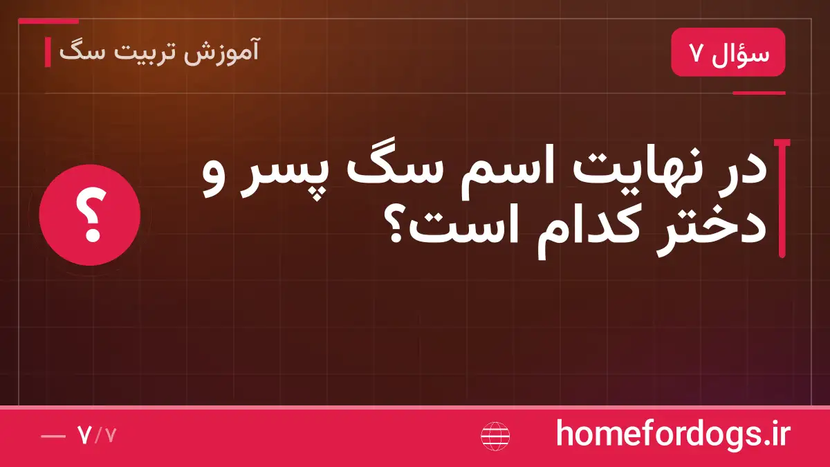در نهایت اسم سگ پسر و دختر کدام است؟
