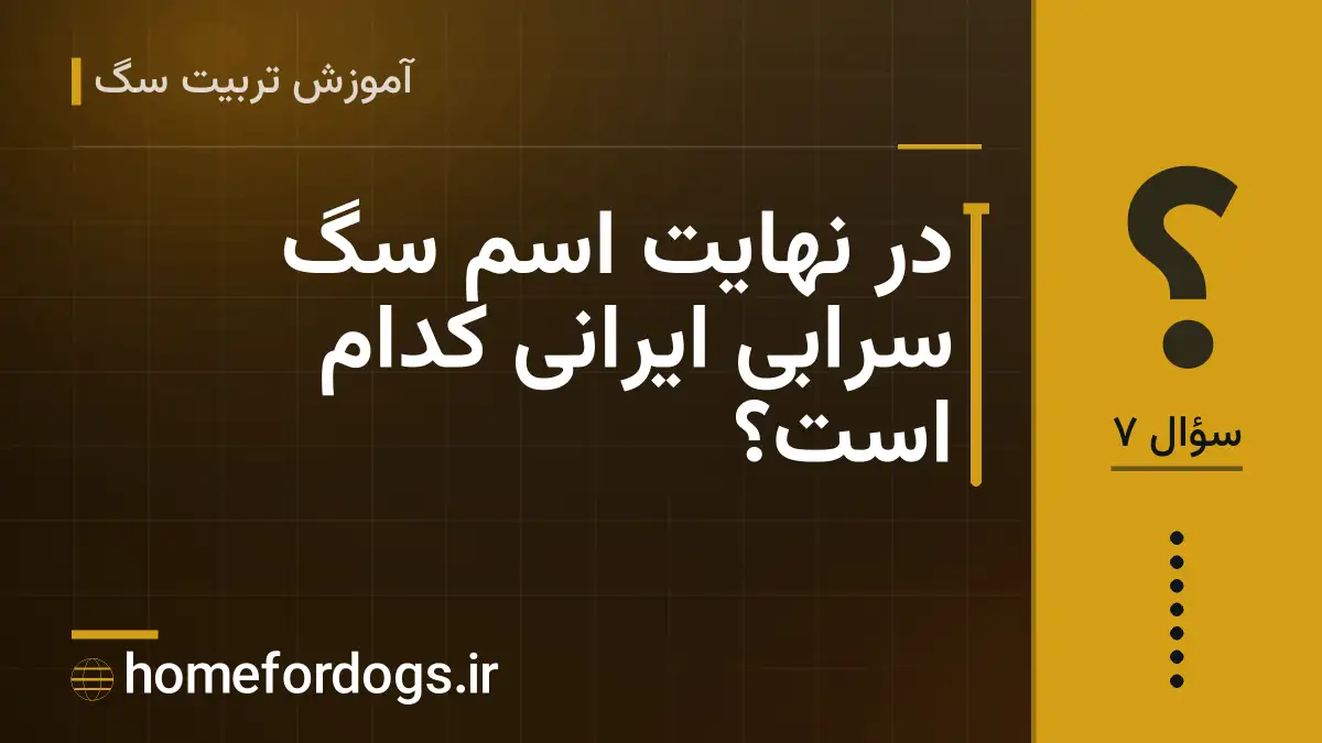 در نهایت اسم سگ سرابی ایرانی کدام است؟