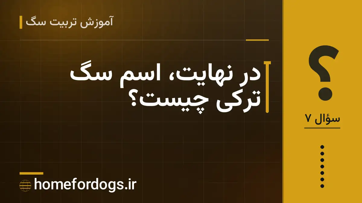 در نهایت، اسم سگ ترکی چیست؟