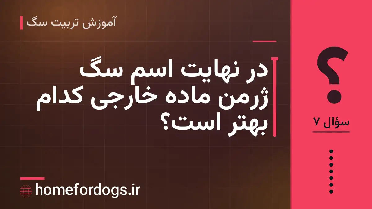 در نهایت اسم سگ ژرمن ماده خارجی کدام بهتر است؟