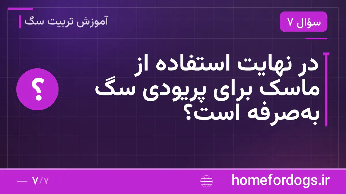 در نهایت استفاده از ماسک برای پریودی سگ بهصرفه است؟