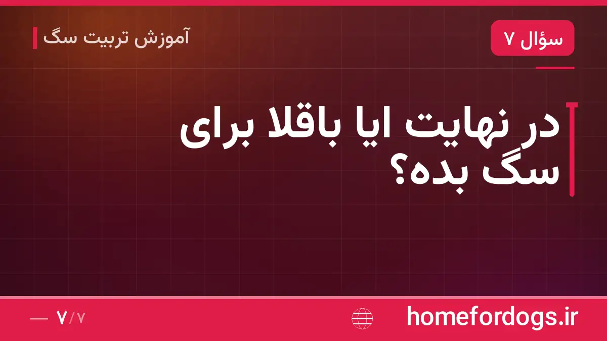 در نهایت ایا باقلا برای سگ بده؟
