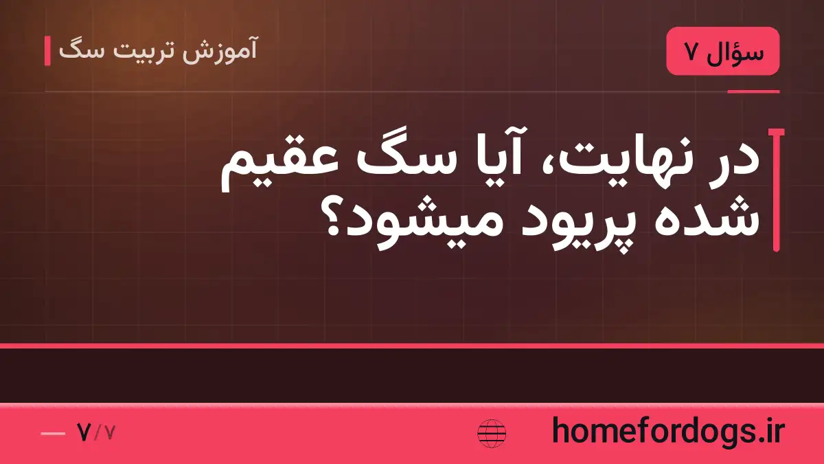 در نهایت، آیا سگ عقیم شده پریود میشود؟