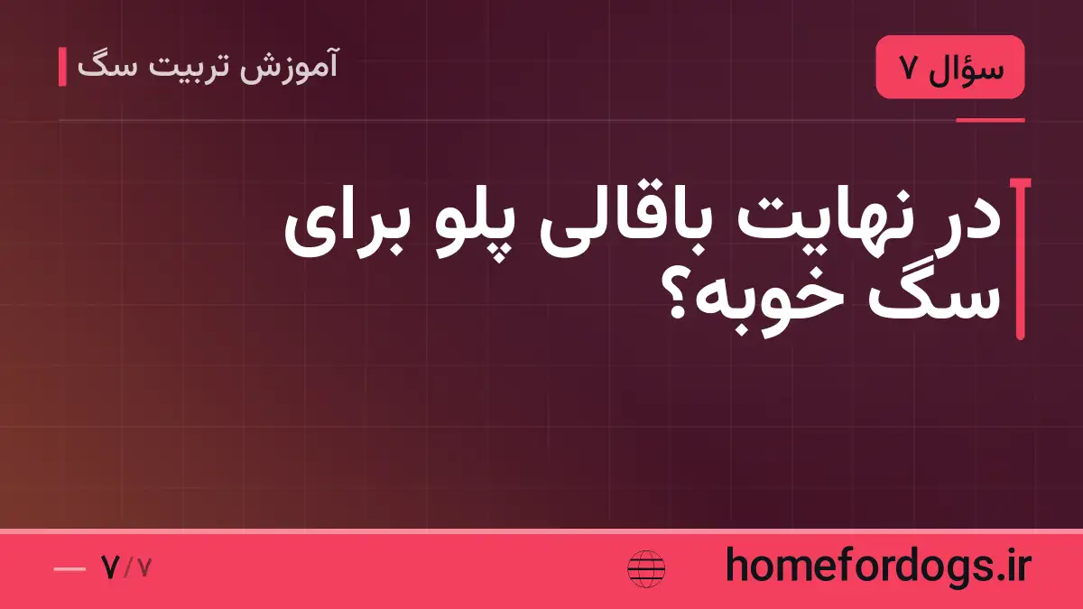 در نهایت باقالی پلو برای سگ خوبه؟