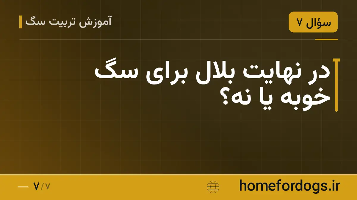 در نهایت بلال برای سگ خوبه یا نه؟