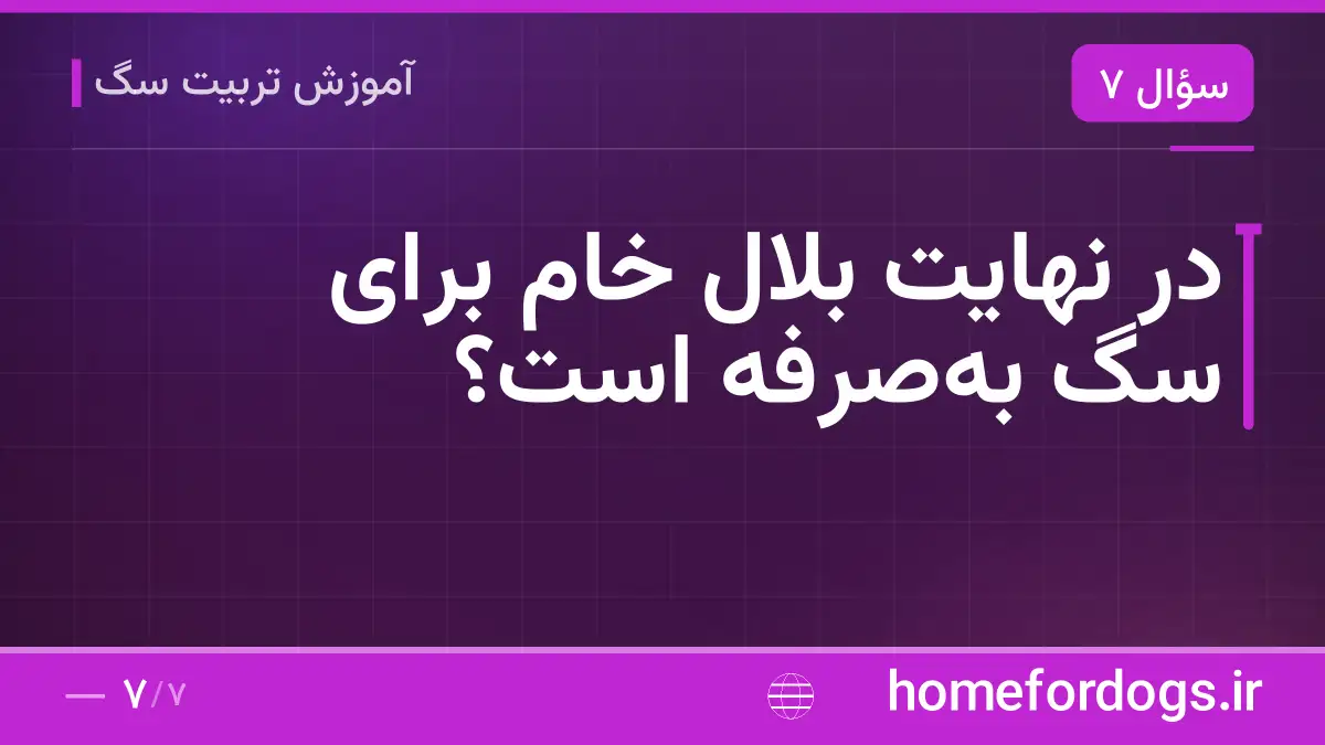 در نهایت بلال خام برای سگ به‌صرفه است؟