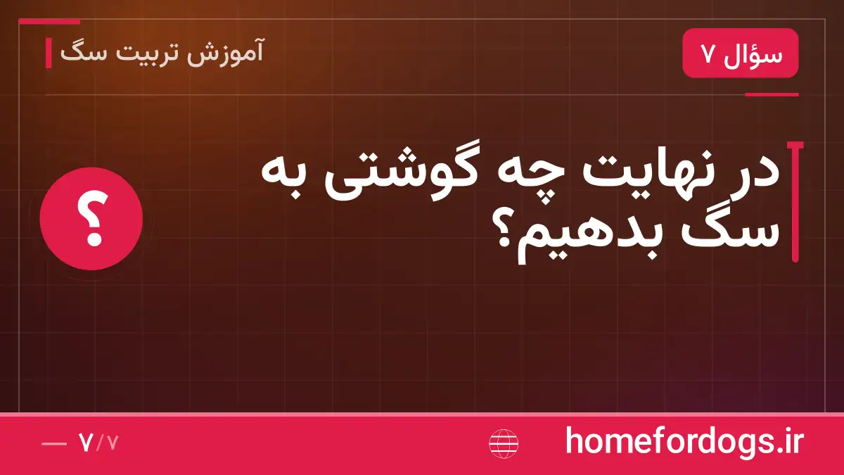 در نهایت چه گوشتی به سگ بدهیم؟