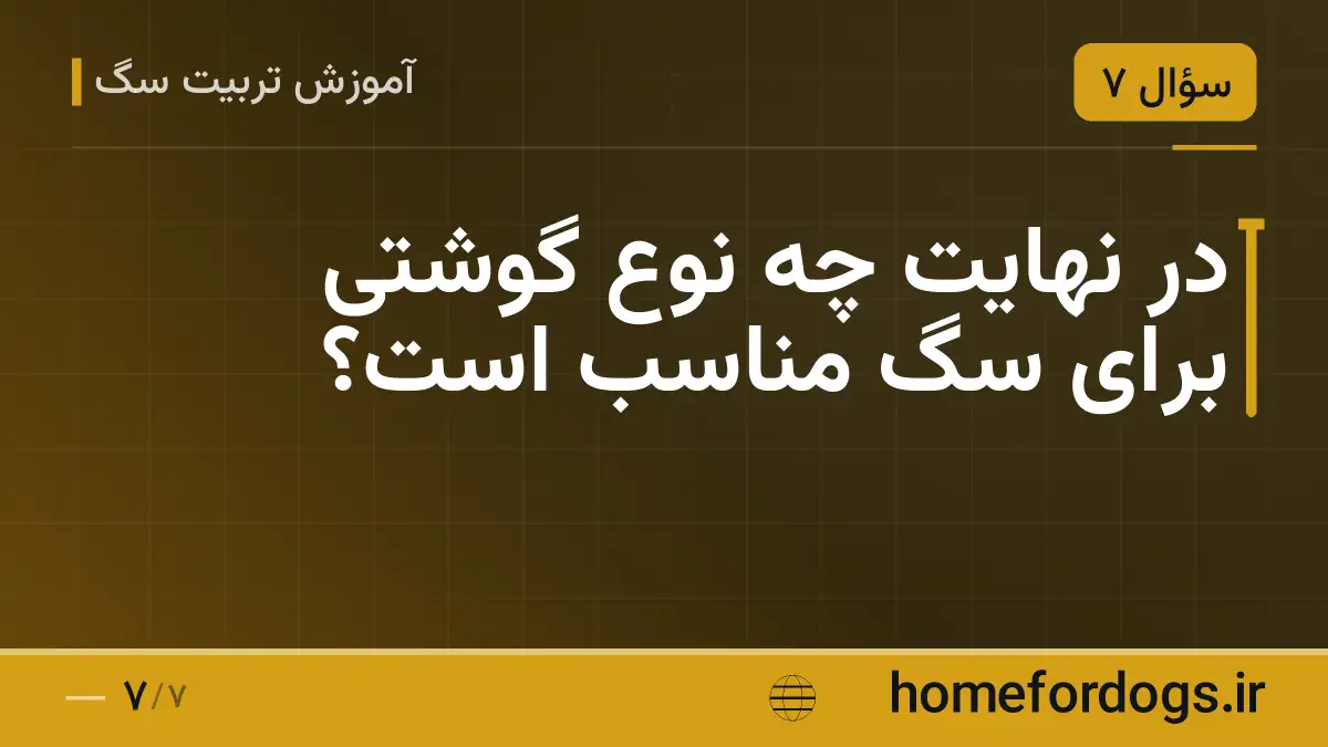در نهایت چه نوع گوشتی برای سگ مناسب است؟