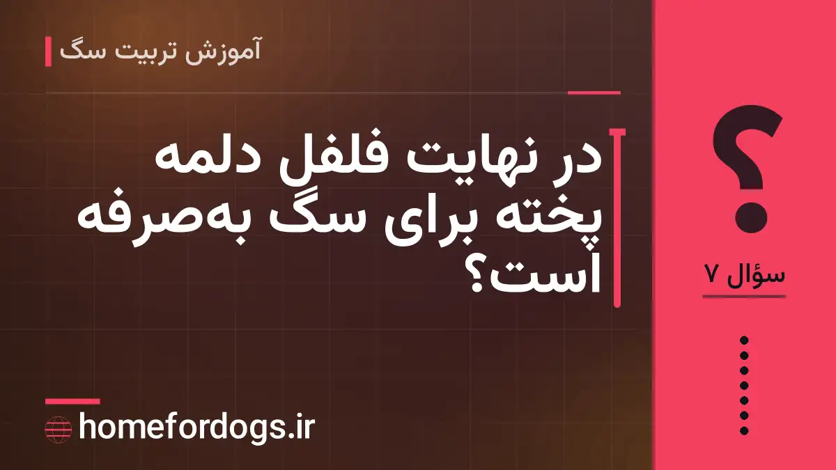 در نهایت فلفل دلمه پخته برای سگ به‌صرفه است؟