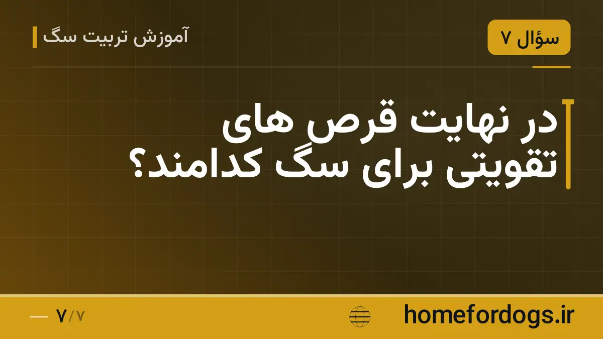 در نهایت قرص های تقویتی برای سگ کدامند؟