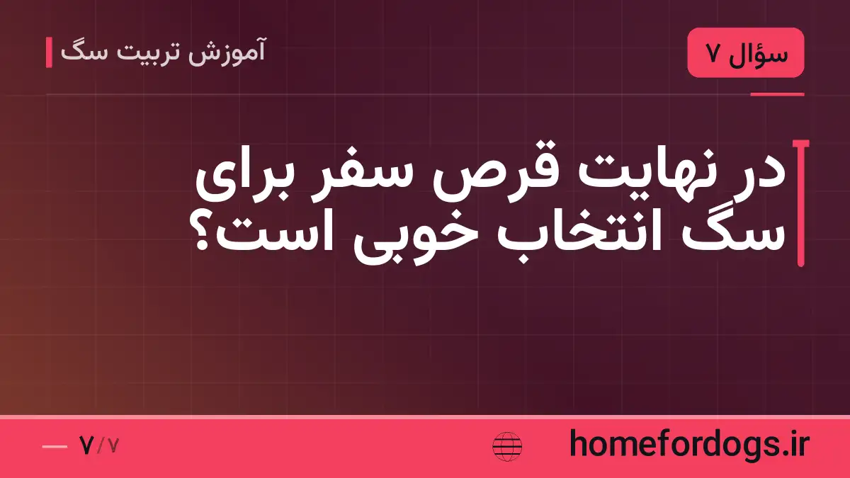 در نهایت قرص سفر برای سگ انتخاب خوبی است؟