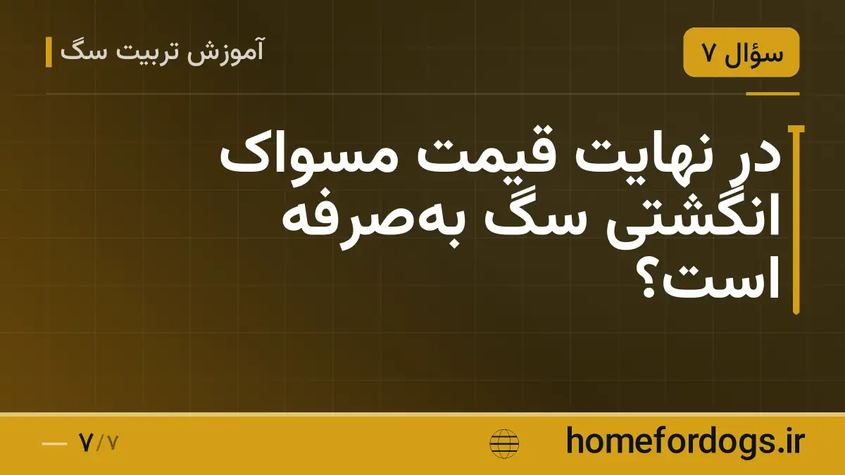 در نهایت قیمت مسواک انگشتی سگ بهصرفه است؟