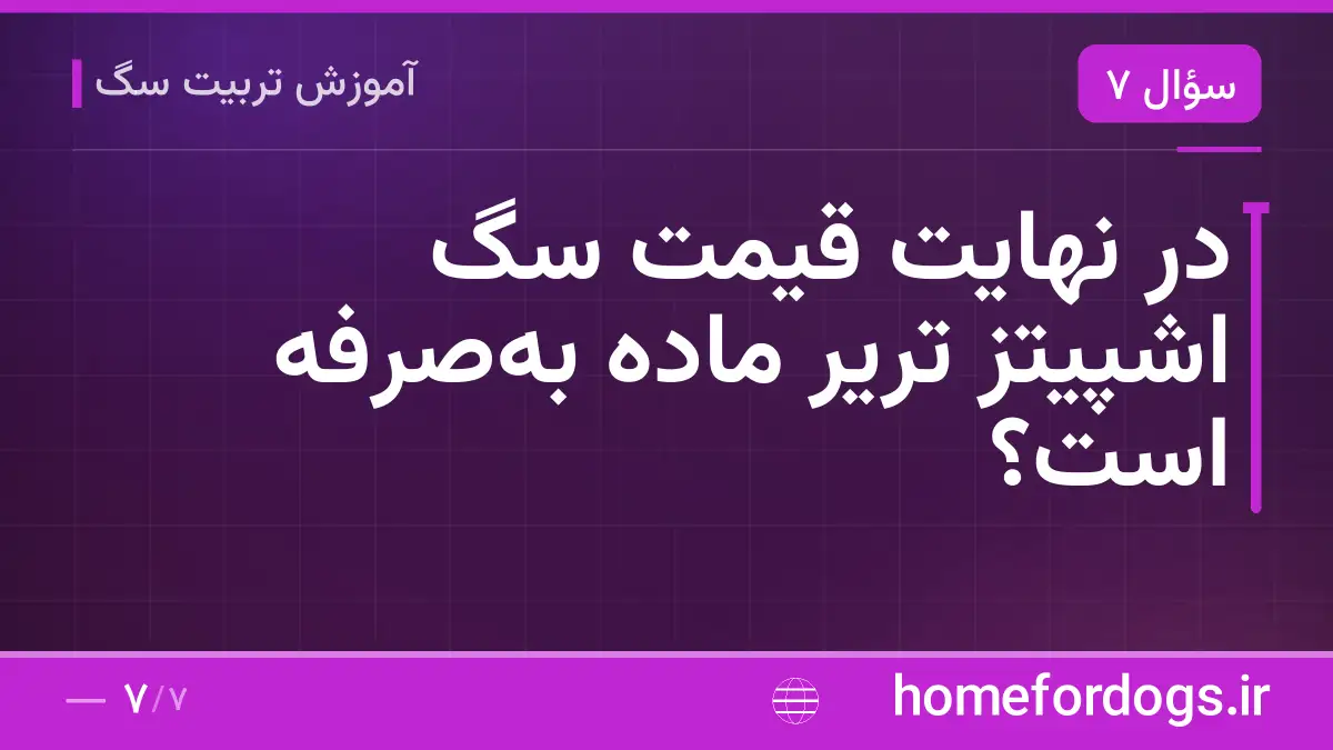 در نهایت قیمت سگ اشپیتز تریر ماده بهصرفه است؟