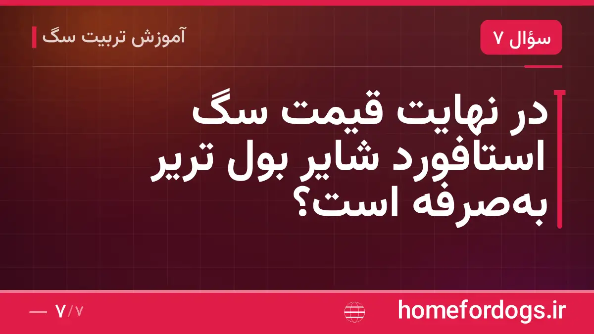 در نهایت قیمت سگ استافورد شایر بول تریر به‌صرفه است؟