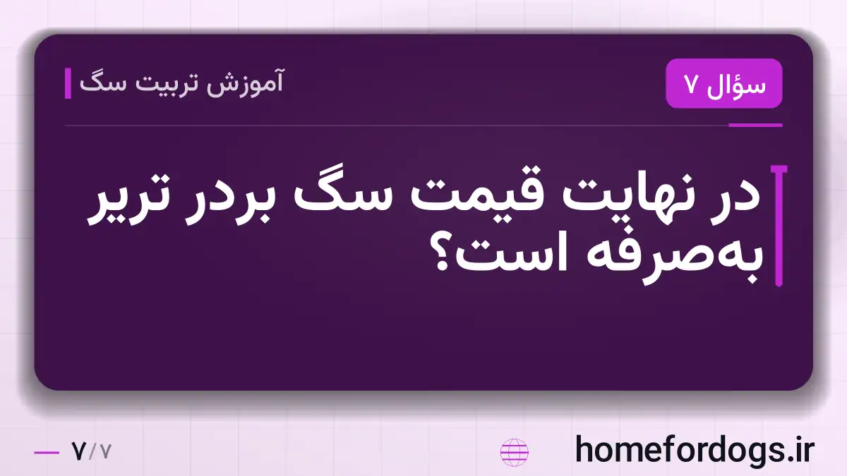 در نهایت قیمت سگ بردر تریر به‌صرفه است؟