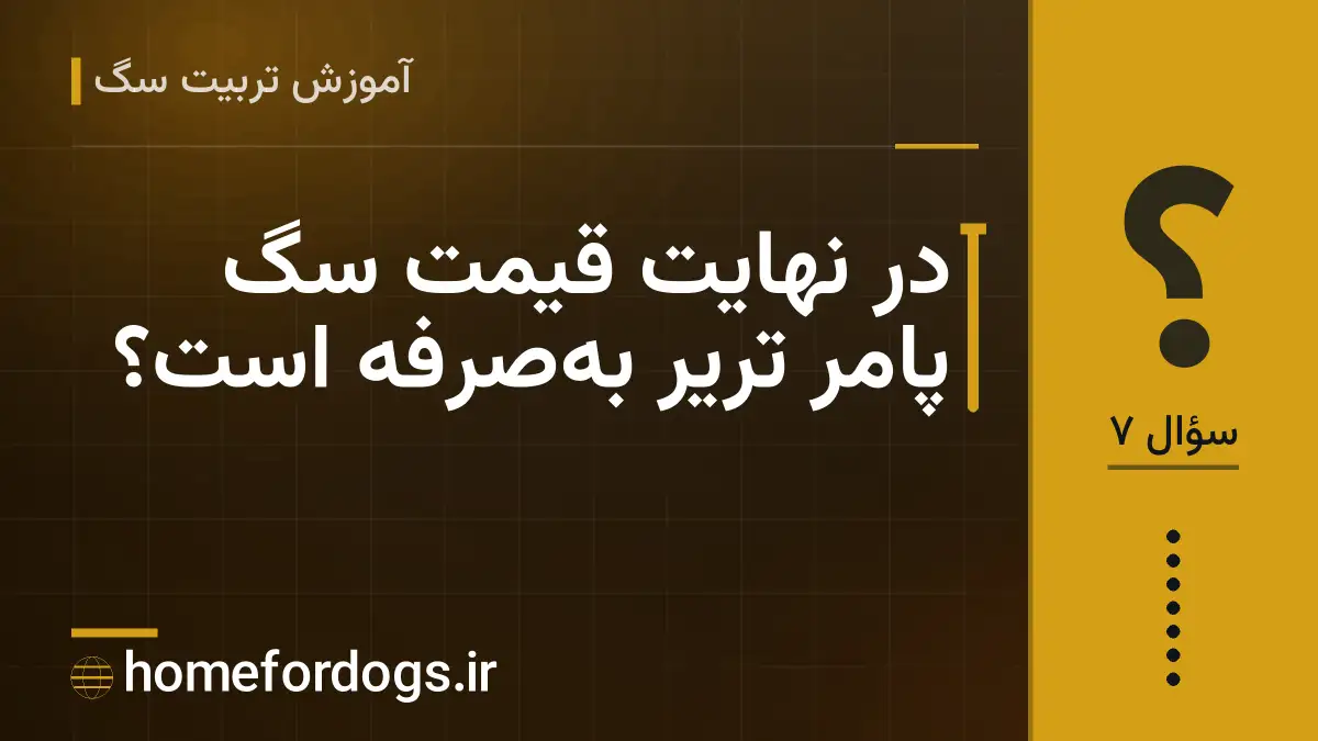 در نهایت قیمت سگ پامر تریر به‌صرفه است؟