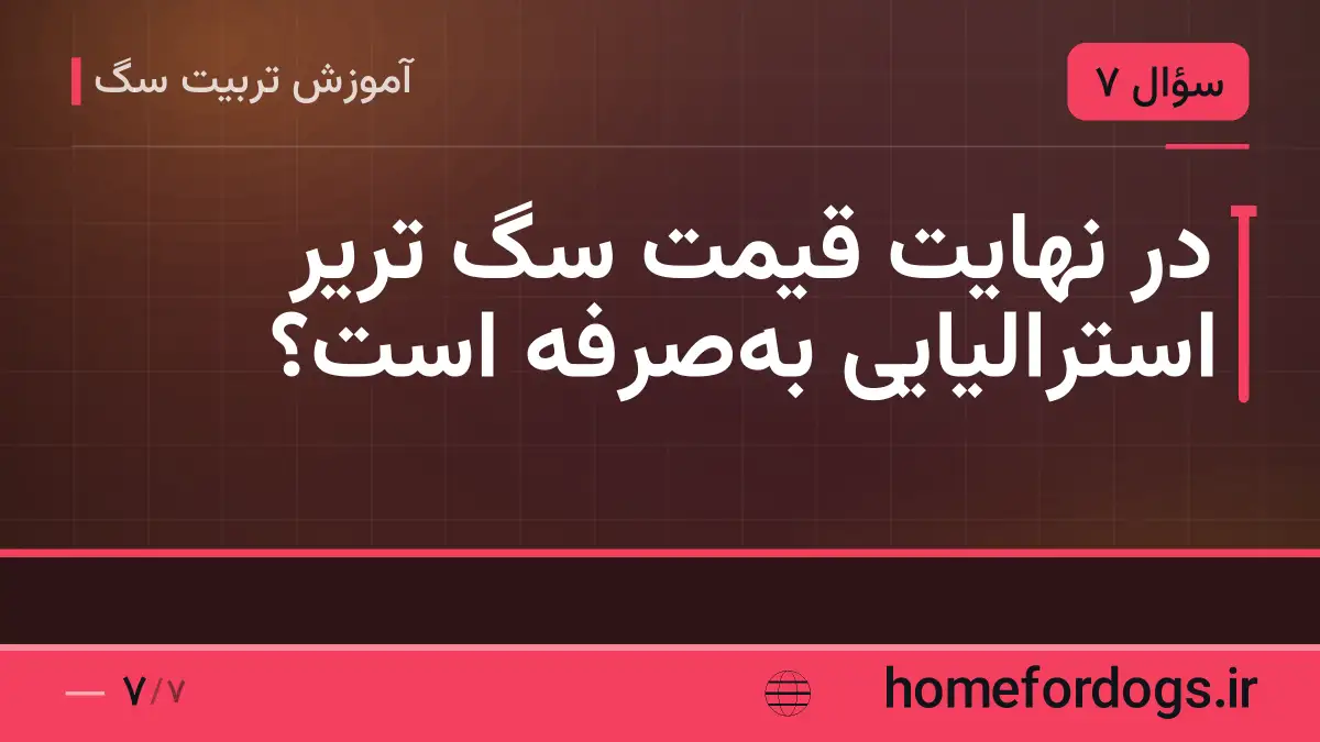 در نهایت قیمت سگ تریر استرالیایی به‌صرفه است؟