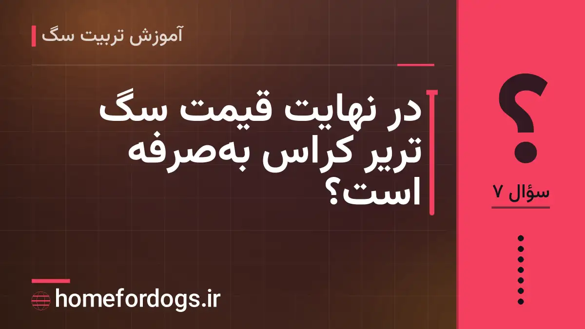 در نهایت قیمت سگ تریر کراس به‌صرفه است؟