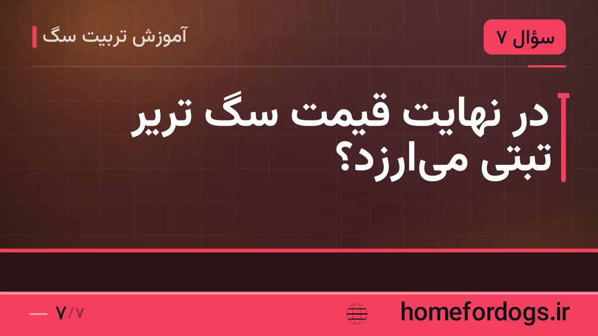 در نهایت قیمت سگ تریر تبتی می‌ارزد؟