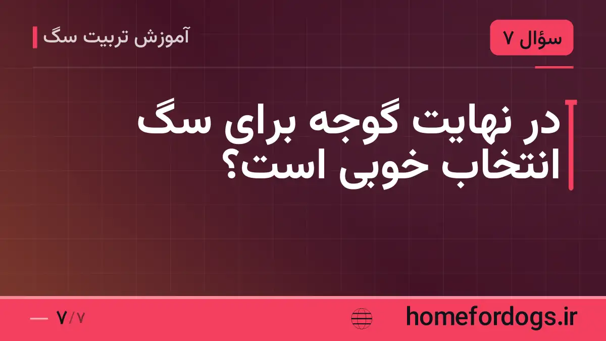 در نهایت گوجه برای سگ انتخاب خوبی است؟