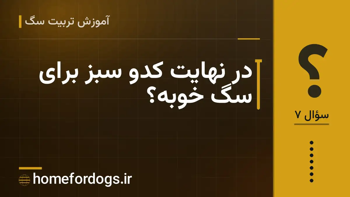 در نهایت کدو سبز برای سگ خوبه؟
