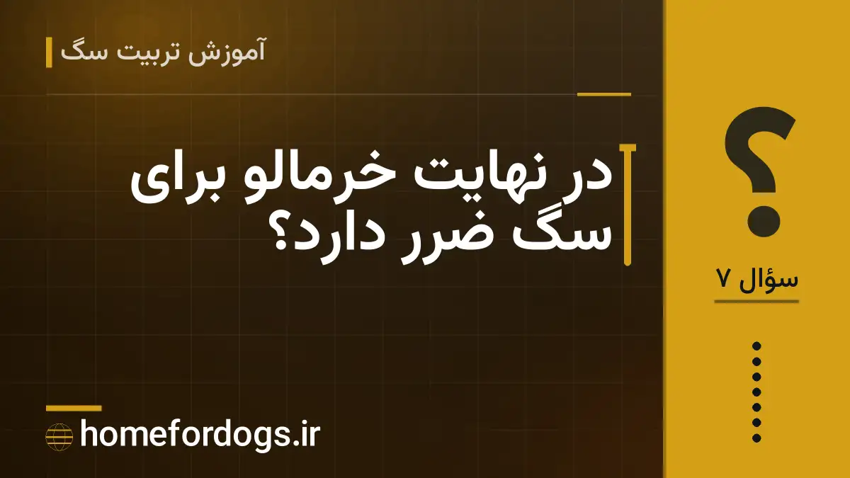 در نهایت خرمالو برای سگ ضرر دارد؟