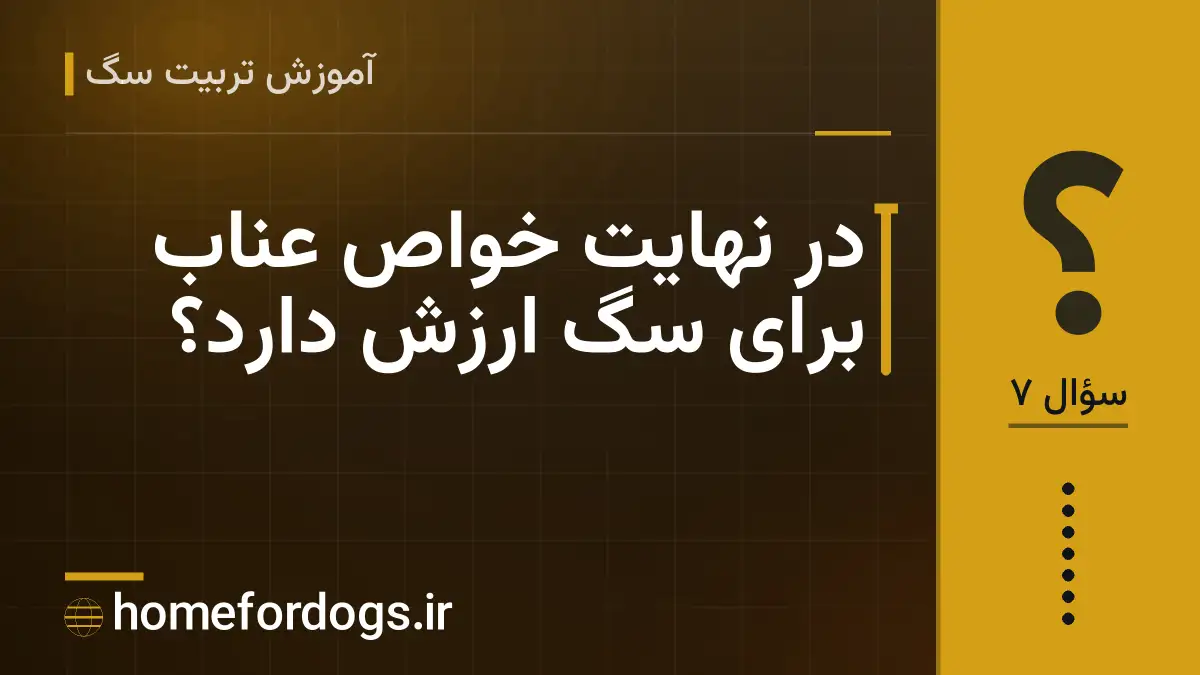 در نهایت خواص عناب برای سگ ارزش دارد؟