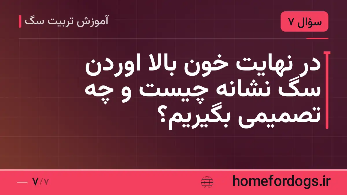 در نهایت خون بالا اوردن سگ نشانه چیست و چه تصمیمی بگیریم؟