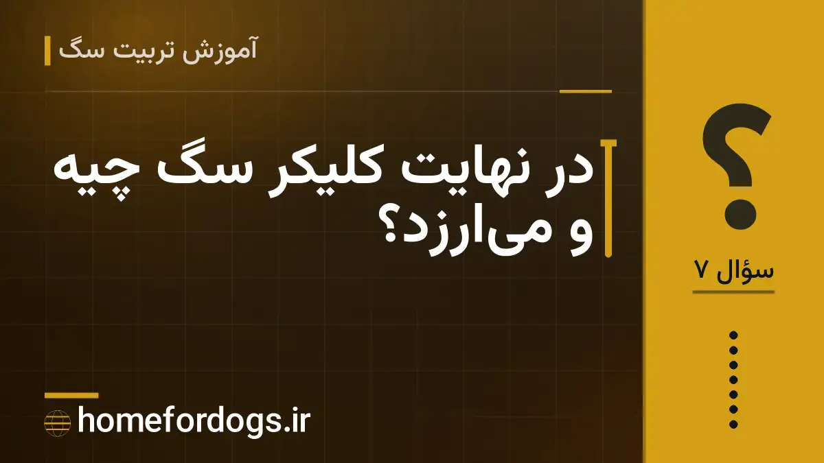 در نهایت کلیکر سگ چیه و می‌ارزد؟
