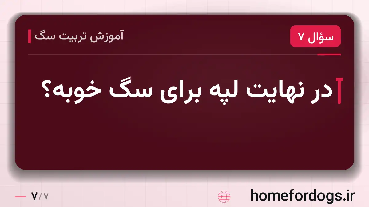 در نهایت لپه برای سگ خوبه؟