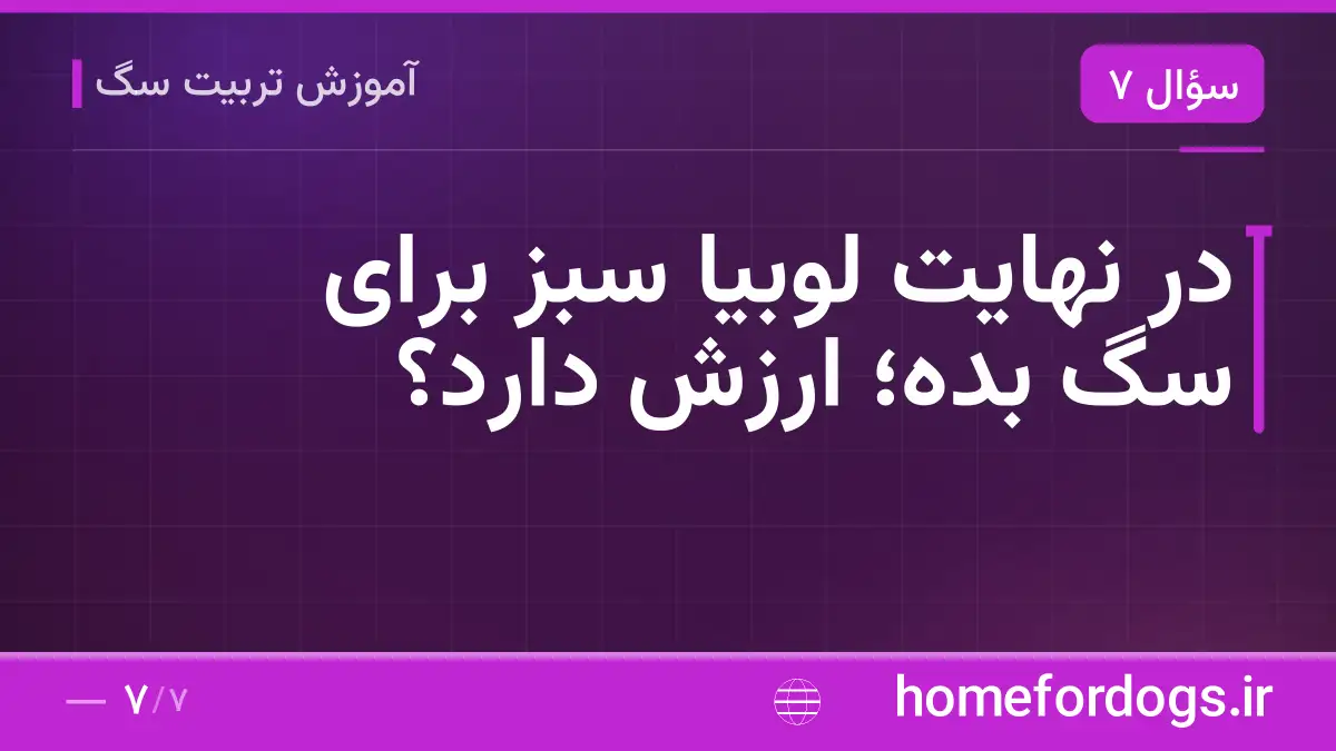 در نهایت لوبیا سبز برای سگ بده؛ ارزش دارد؟