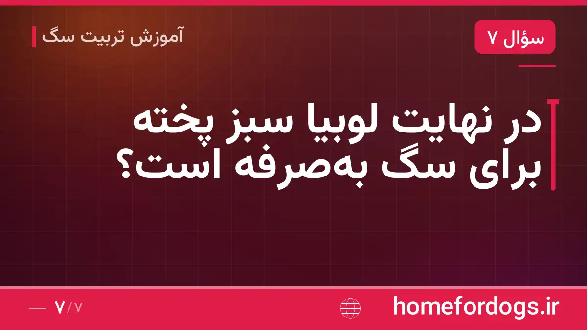 در نهایت لوبیا سبز پخته برای سگ به‌صرفه است؟