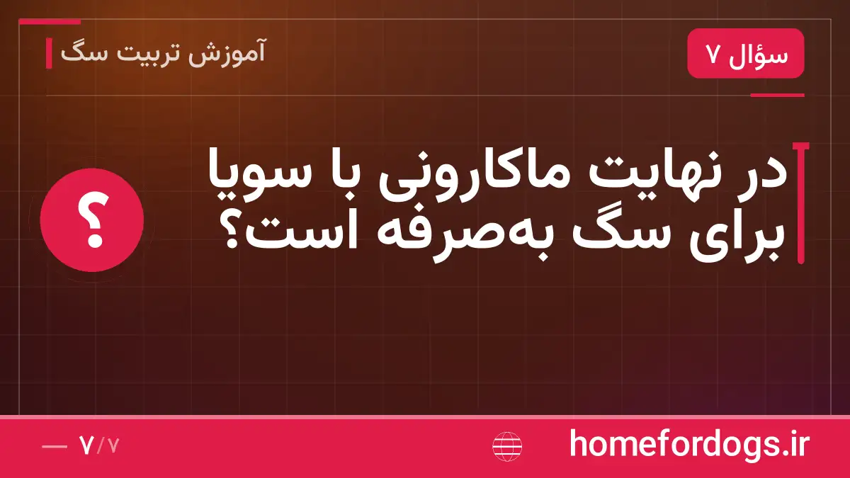 در نهایت ماکارونی با سویا برای سگ به‌صرفه است؟
