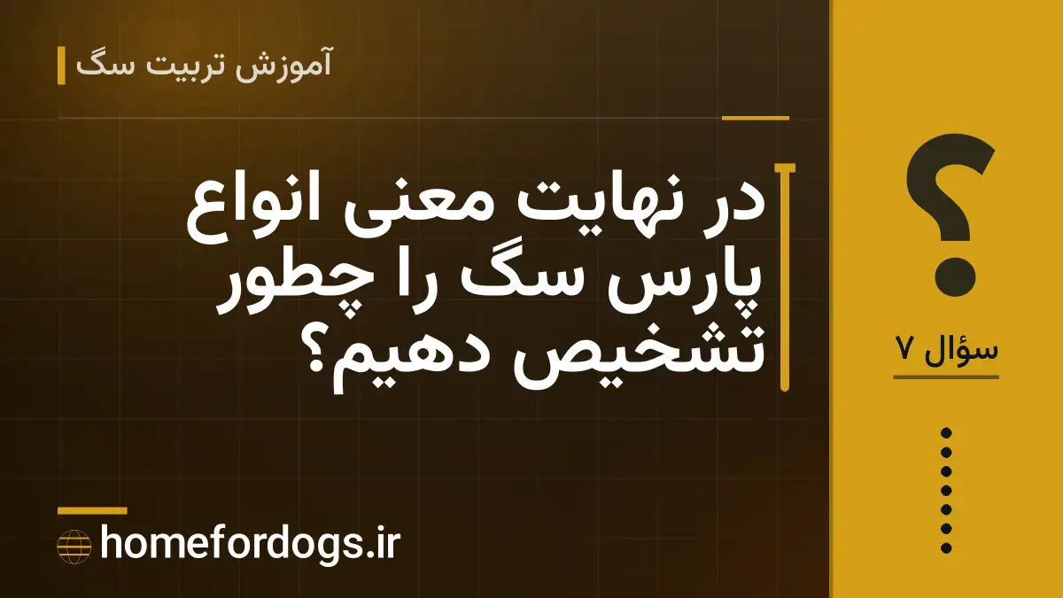 در نهایت معنی انواع پارس سگ را چطور تشخیص دهیم؟
