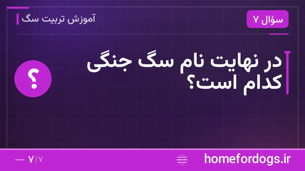 در نهایت نام سگ جنگی کدام است؟
