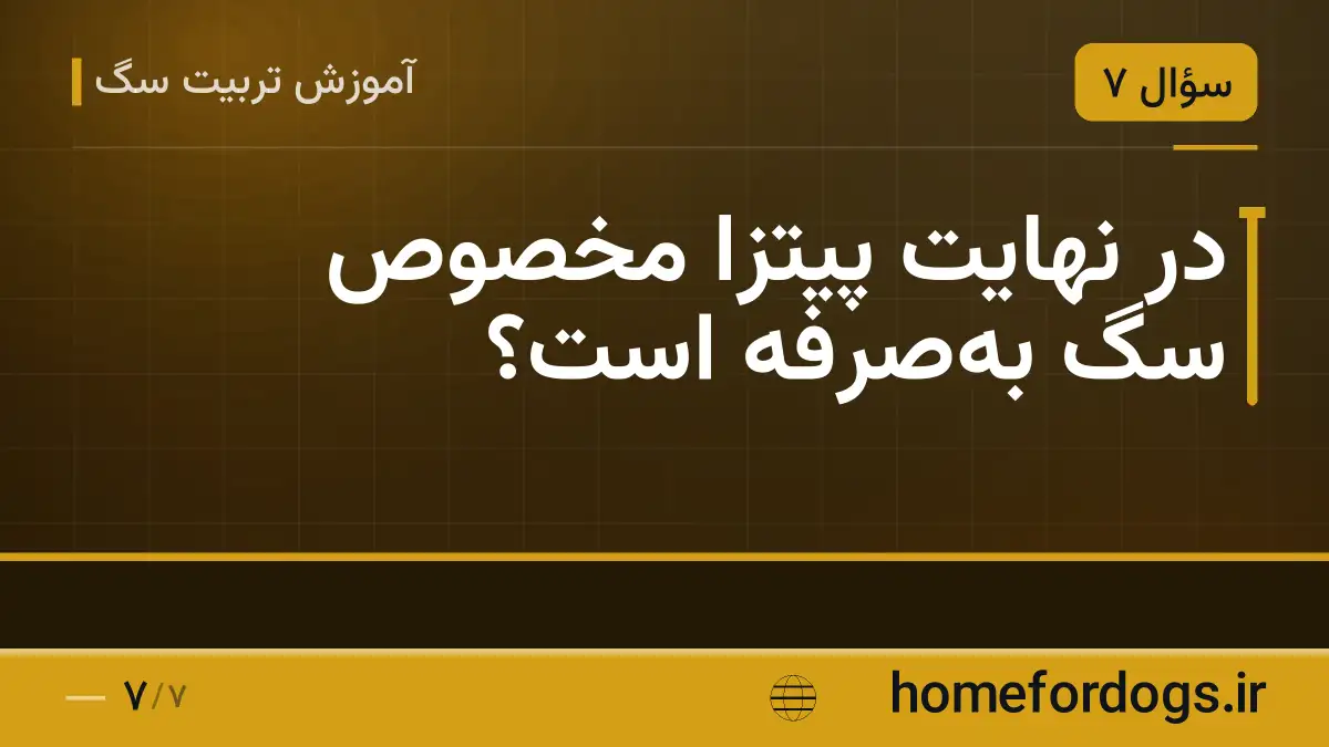 در نهایت پیتزا مخصوص سگ به‌صرفه است؟