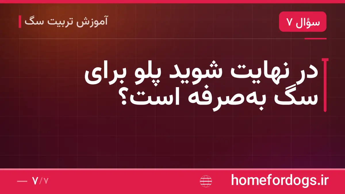 در نهایت شوید پلو برای سگ به‌صرفه است؟