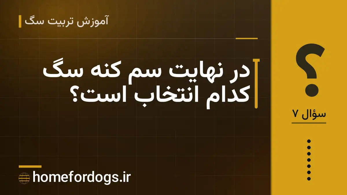 در نهایت سم کنه سگ کدام انتخاب است؟