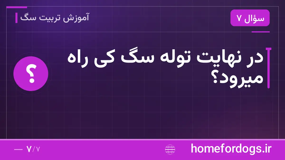 در نهایت توله سگ کی راه میرود؟