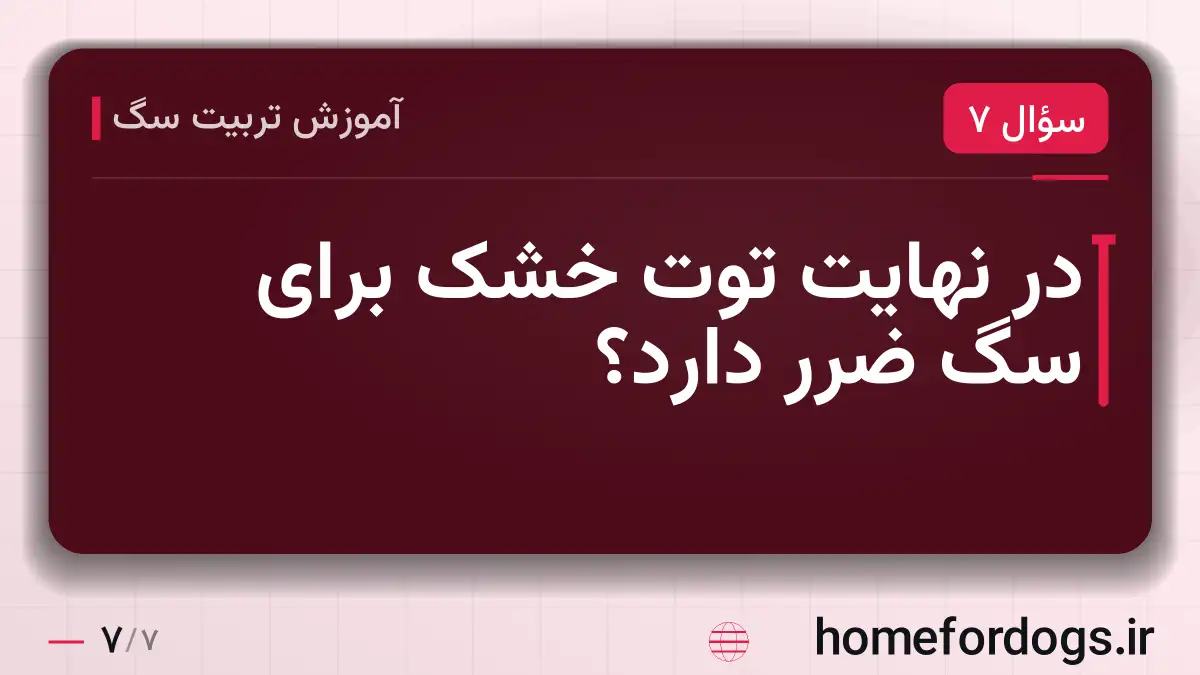 در نهایت توت خشک برای سگ ضرر دارد؟