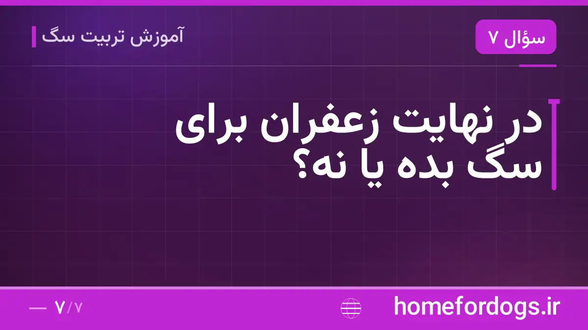 در نهایت زعفران برای سگ بده یا نه؟