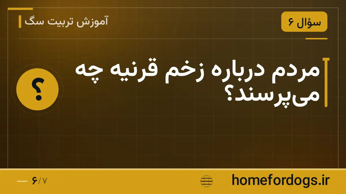 مردم درباره زخم قرنیه چه می‌پرسند؟